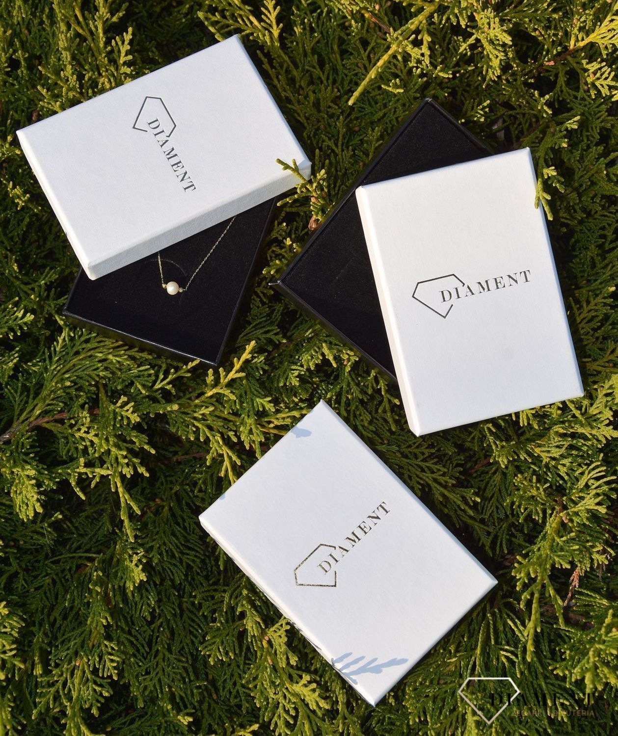 Złote kolczyki przy uchu 585 z perełkami 6 mm KL 1644D 585.jpg